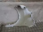 Zafira life / vivaro C pravý blatník