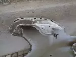 Zafira life / vivaro C pravý blatník