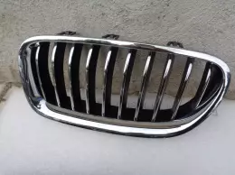 BMW 5 F10 LCI ledvina levá 